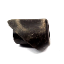 View Cap Full-Sized Product Image 1 of 2
